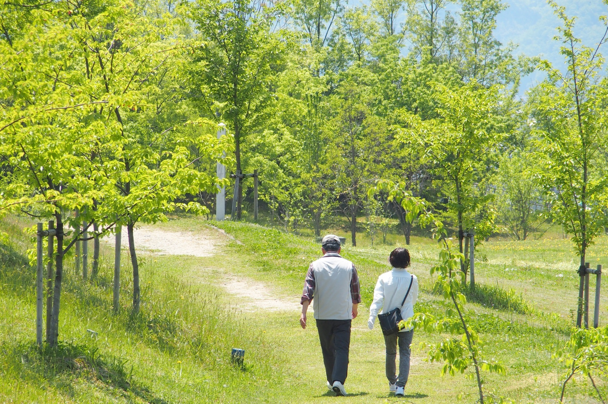 診療方針｜大和市,耳鼻科,のぶきよ耳鼻咽喉科クリニック